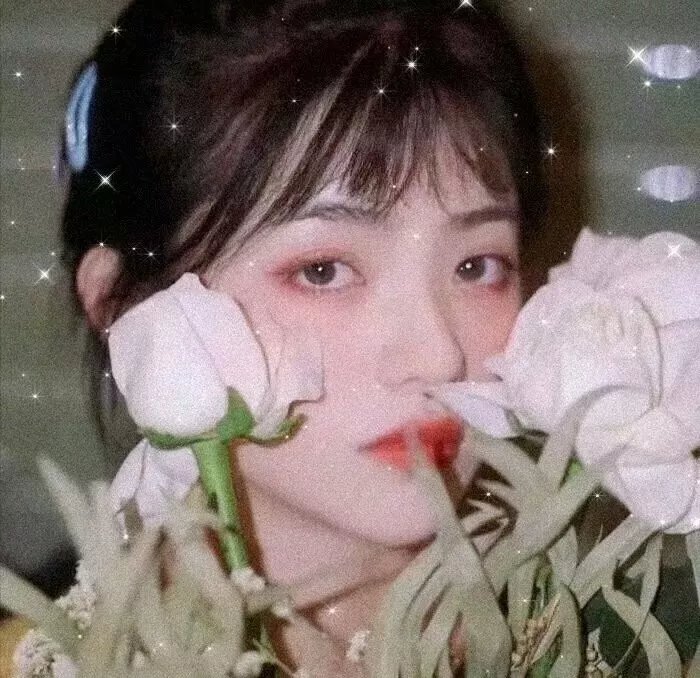姐妹双行之巴黎护照